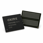 CXMT DDR5 CXDR4E8BM-CS-A