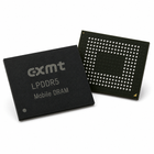 CXMT LPDDR5 CXDB6CCDM-MA-M